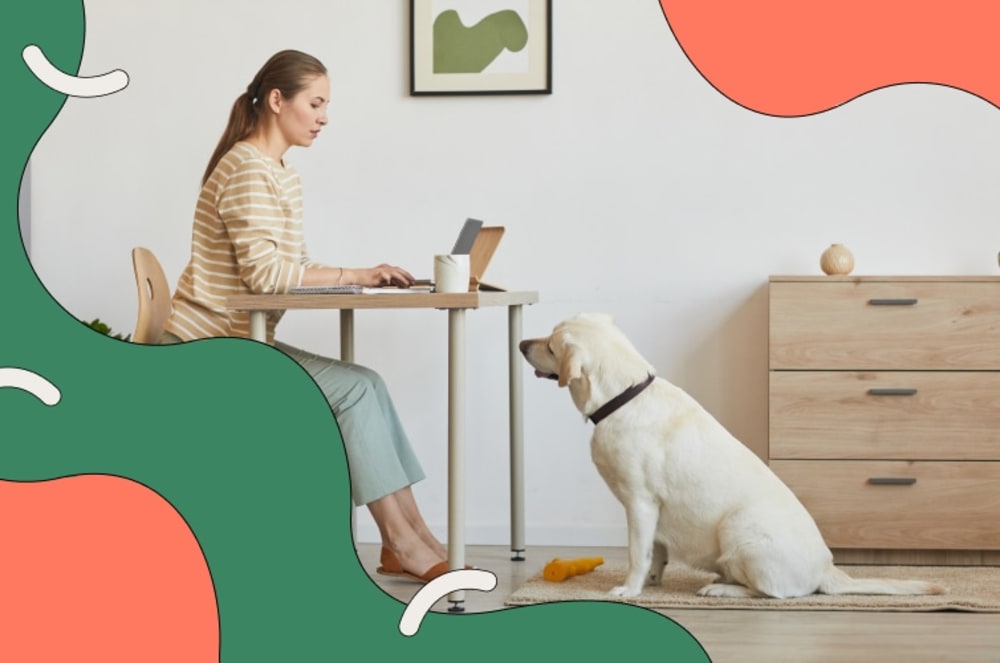 Female worker at desk with dog watching