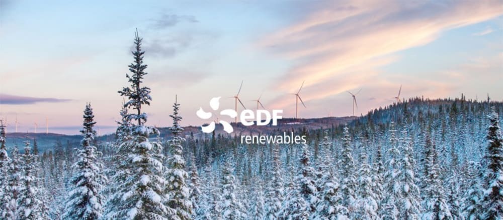 EDF logo on snowy landscape backdrop