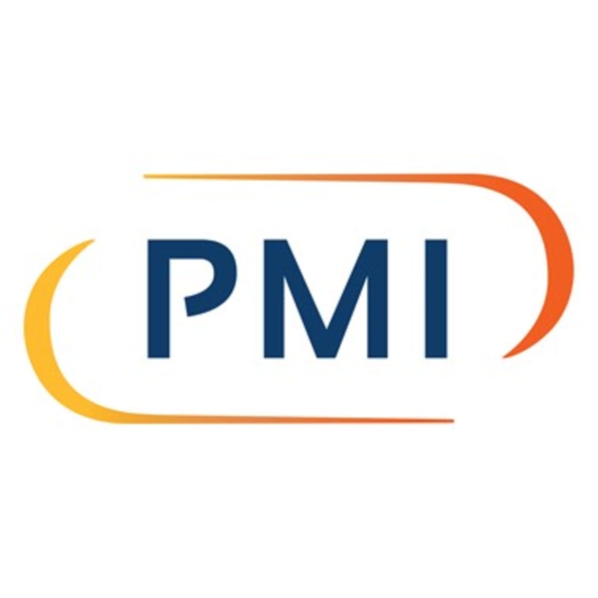 Process Management International logo partner