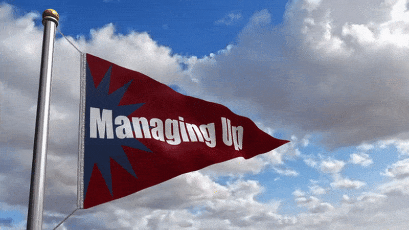 Managing Up (Quickstart Guide)