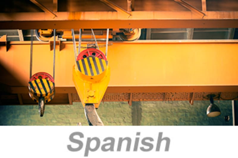 Overhead and Gantry Crane Safety (Spanish) Seguridad en grúas aéreas y de pórtico