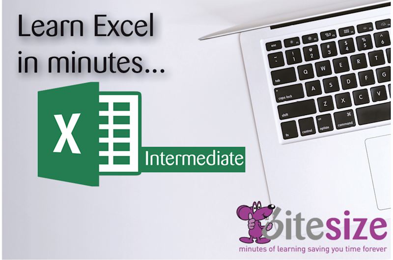 MS Excel 2016 - Intermediate