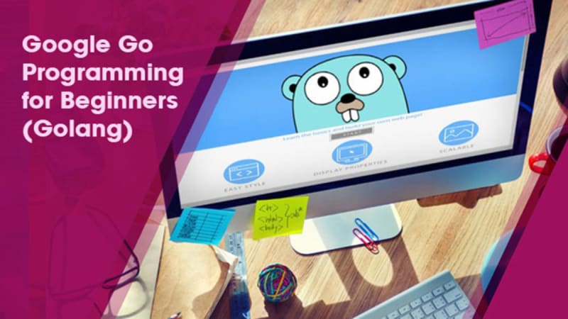 Google Go Programming for Beginners