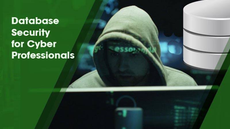 Database Security for Cyber Professionals