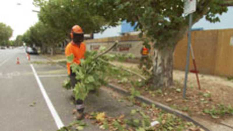 Outdoor Worker Safety - Personal Protective Equipment