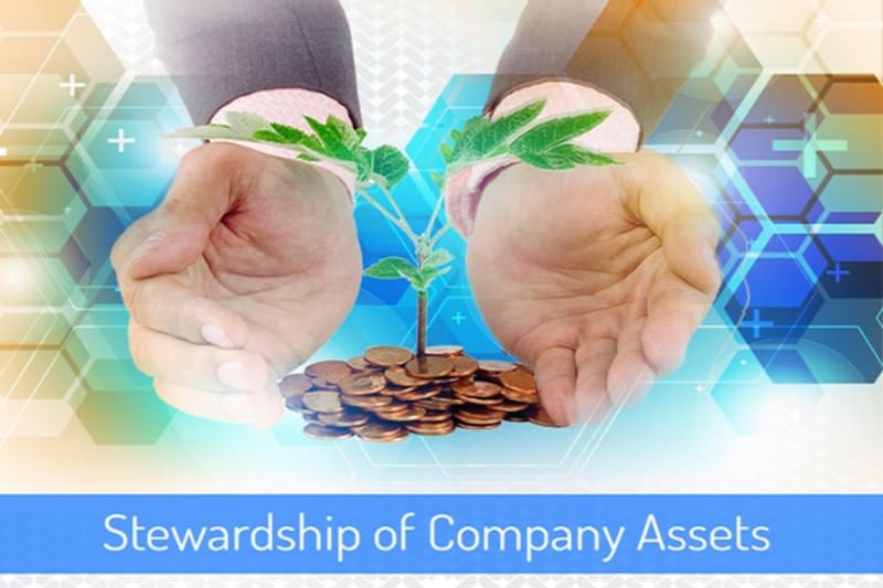 Stewardship of Company Assets Training (Interactive)