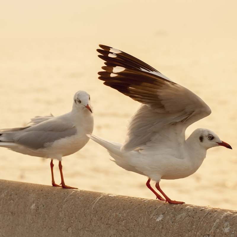Moving Into Your First Management Role