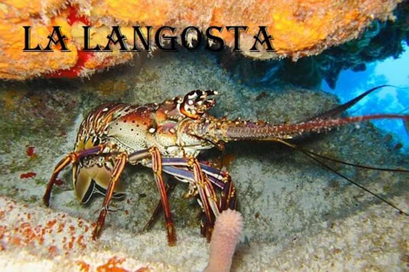 La langosta (Fables: The Lobster)
