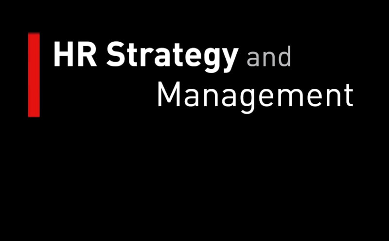 HR Strategy and Management - Insights and Strategies Series