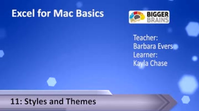Excel for Mac Basics 11: Styles and Themes