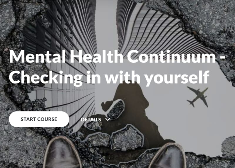Mental Health Continuum: Checking in with yourself