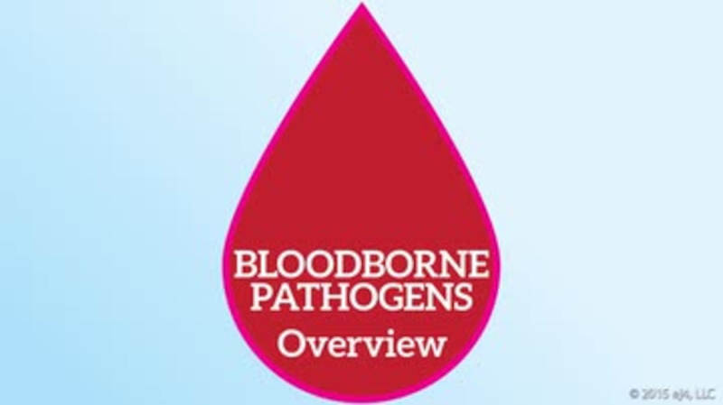 Understanding Bloodborne Pathogens: Bloodborne Pathogens Overview