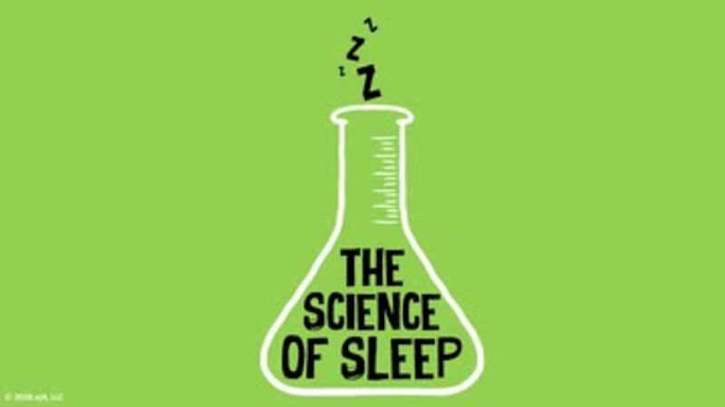 The Science of Sleep: The Science of Sleep