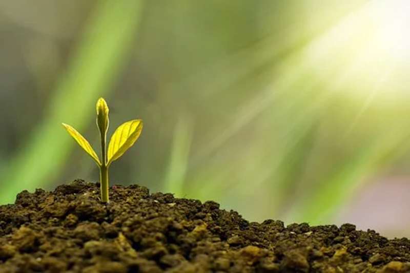Investment Banking and Regulatory Agencies