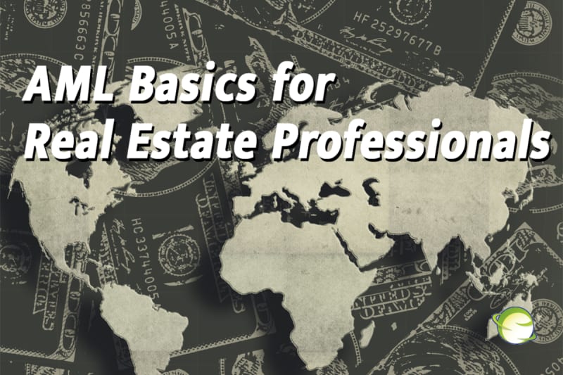 AML Basics for Real Estate Professionals