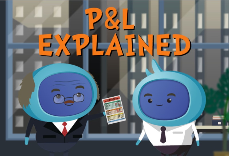 P&L Explained (CPD certified)