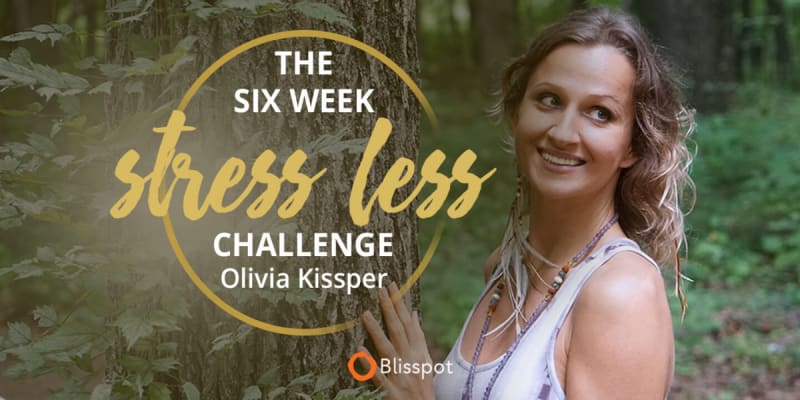 6-Week Stress Less Meditation Challenge