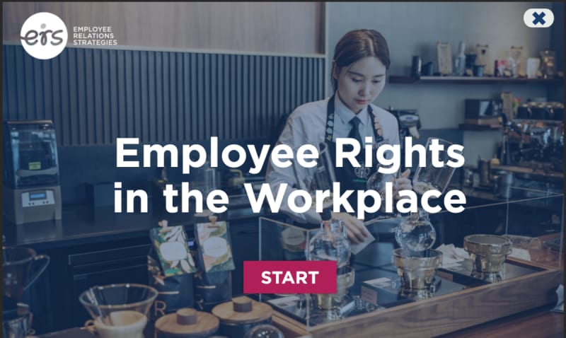 Employee Rights in the Workplace