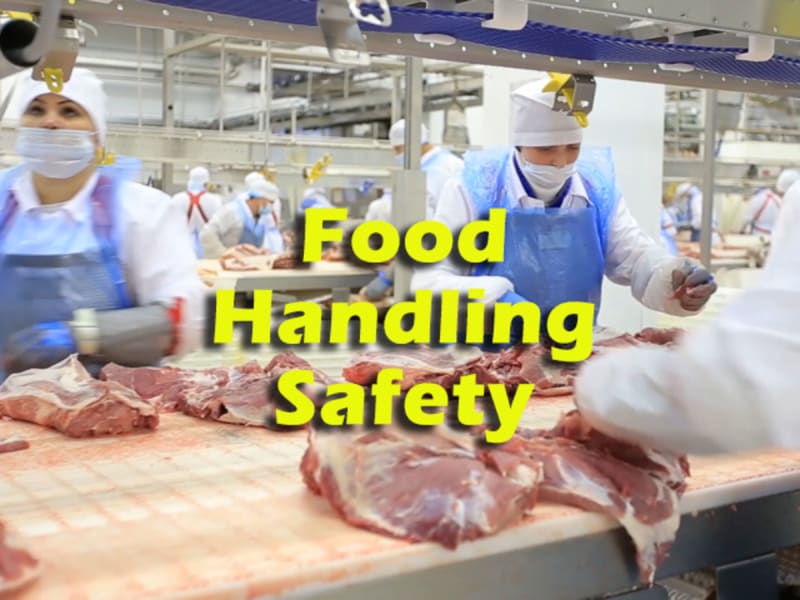 HACCP…Hazard Analysis and Critical Control Points in the Food Industry