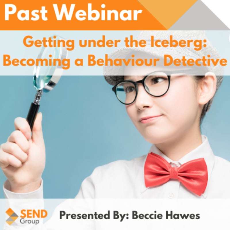 Getting under the Iceberg: Becoming a Behaviour Detective