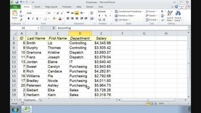 Excel 2010 Part 2: Filter