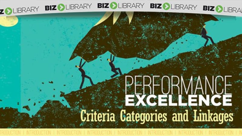 Performance Excellence (Part 4 of 5): Criteria Categories and Linkages