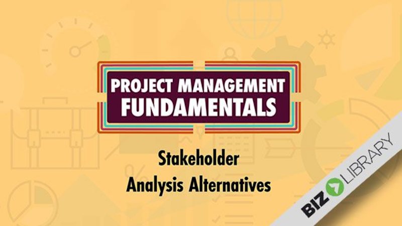 Project Management Fundamentals (Part 8 of 10): Stakeholder Analysis Alternatives