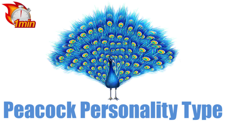 1 Minute Peacock Personality Type