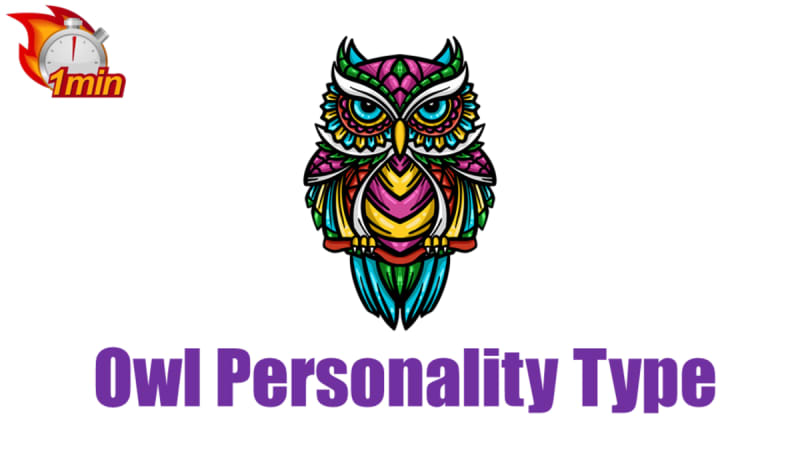 1 Minute Owl Personality Type