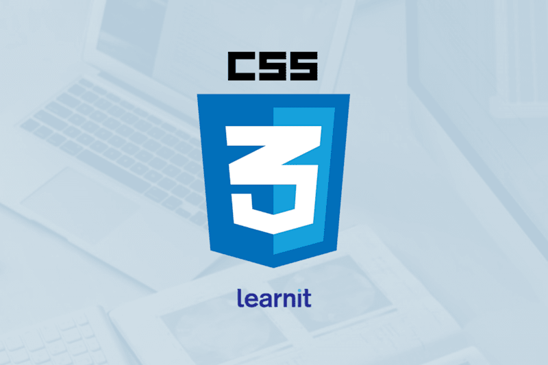 CSS Beginner
