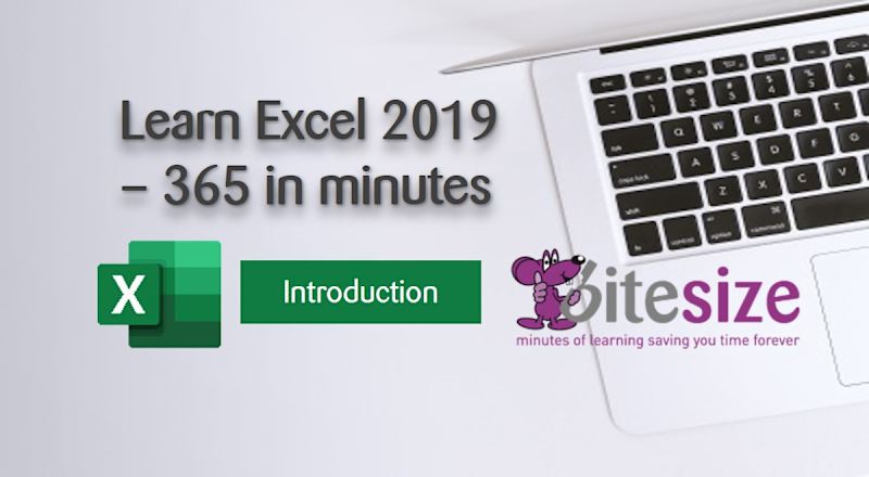 MS Excel 2019 - 365 - Introduction
