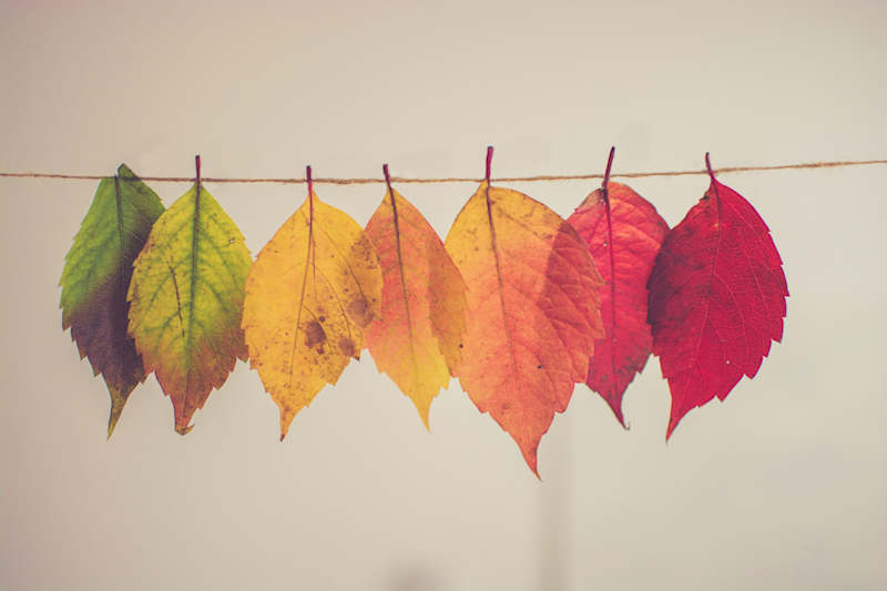 PMI: Organizational Change Management