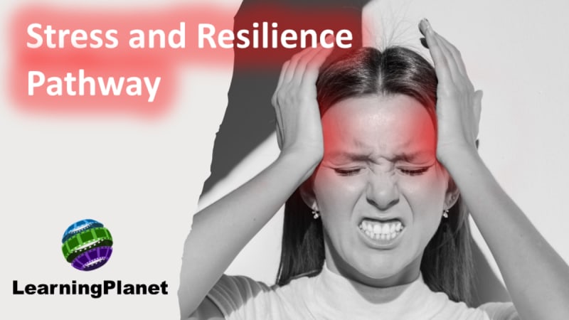 Stress and Resilience Pathway