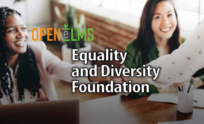 Equality and Diversity Foundation