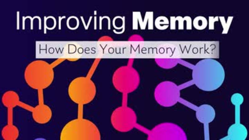 Improving Memory: 01. How Does Your Memory Work?