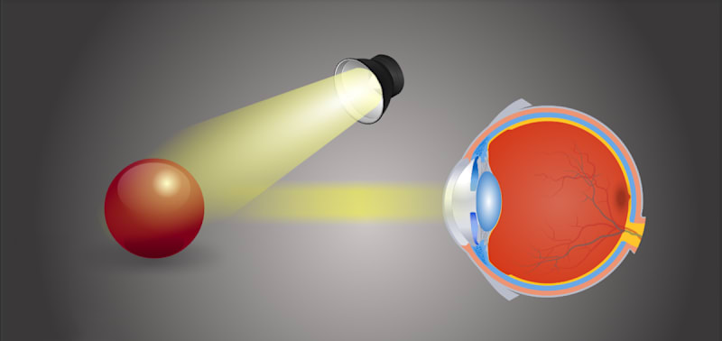 Light and the Human Eye