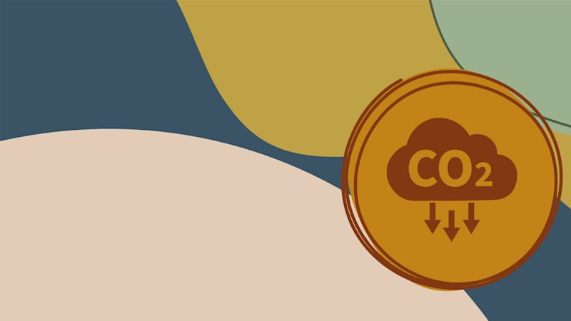 Safety for Employees: Carbon Dioxide for Employees