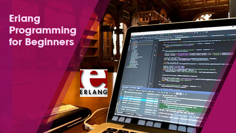 Working With Process IDs - Erlang Programming for Beginners | GoSkillBoost