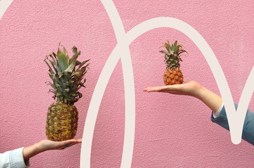 Two people holding different sized pineapples, weighing up their options 