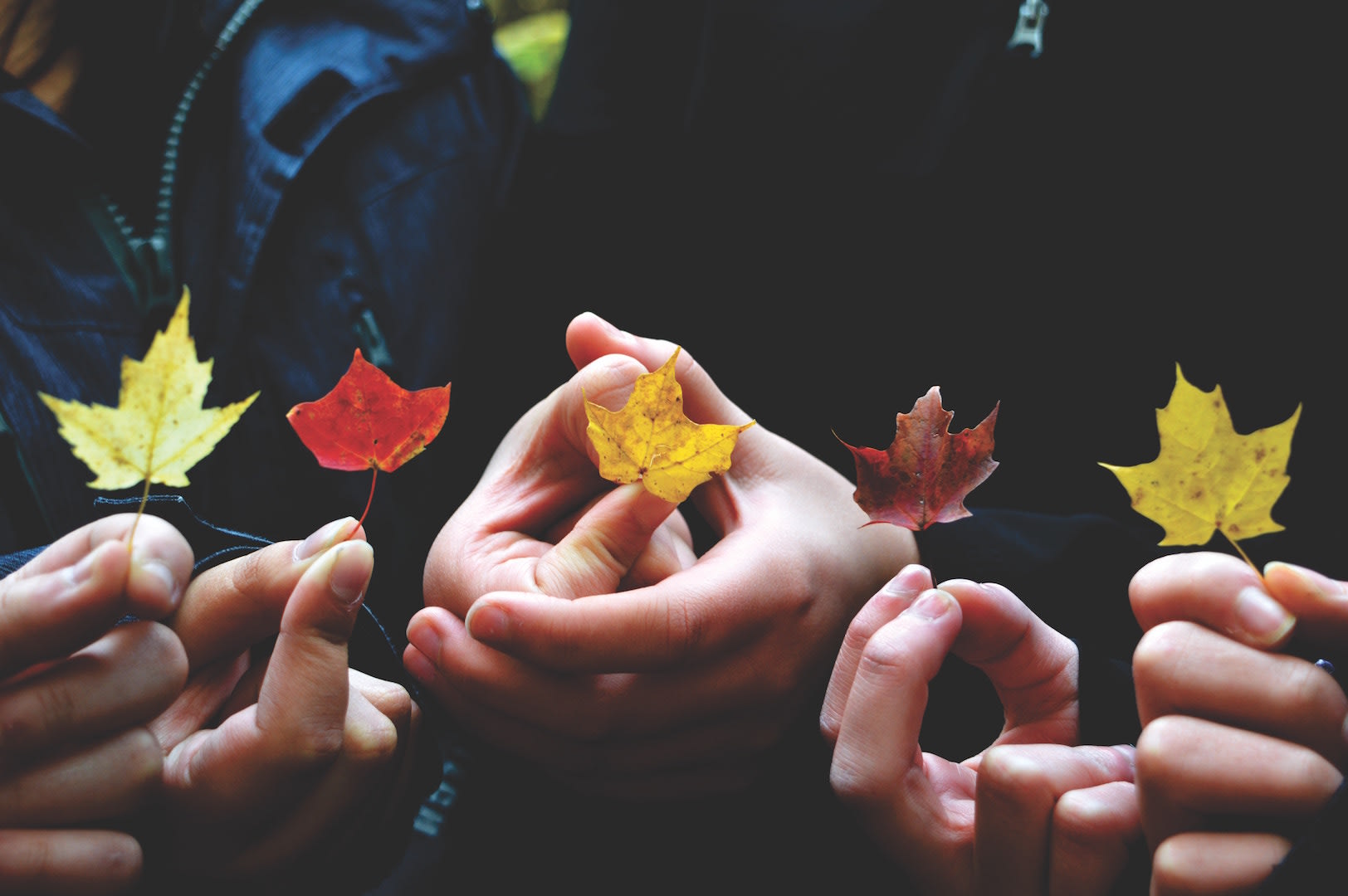 People holding different coloured leaves, representing diversity 
