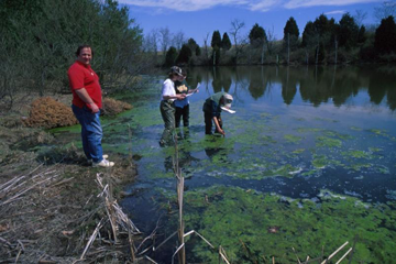 Environmental Overview (US)