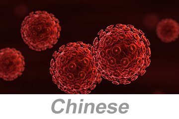 血源性病原体 (BBP) (Bloodborne Pathogens (BBP))